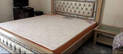 MoltyOrtho Mattress (Just Two Month Used)