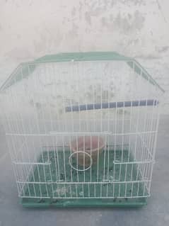 birds cage new 600