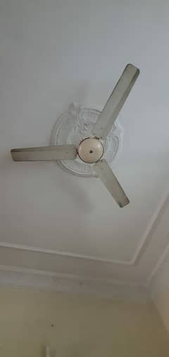 7 different fans for sale