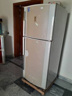 refrigerator + freezer