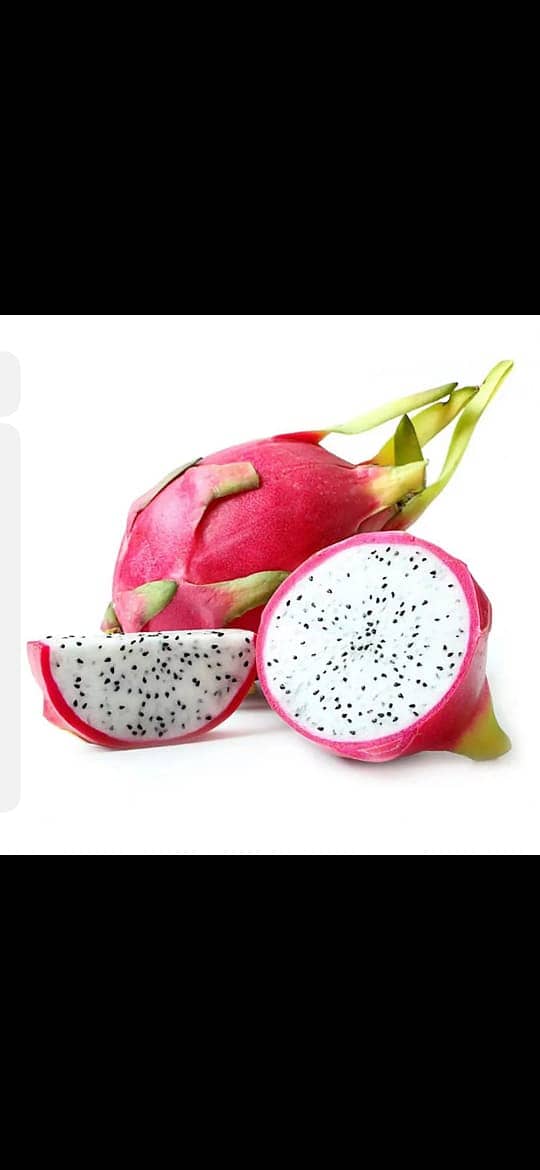 We have different types of Dragon fruit plants and seeds 03459442750 2