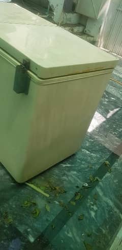 freezer double door