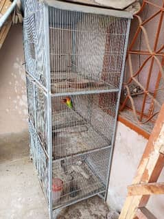 Birds Cage Three floor