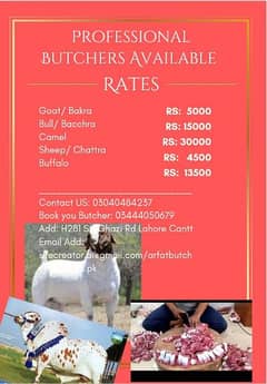 Professional Butchers Available