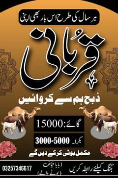 Qasai for Qurbani 2k24 For 2nd day available. .