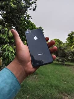 i phone 8 for sale 256 GB memory only side sy Gilas break h