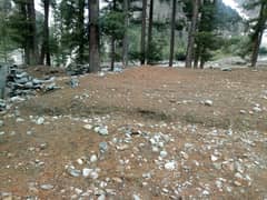 Naltar valley Land for sale