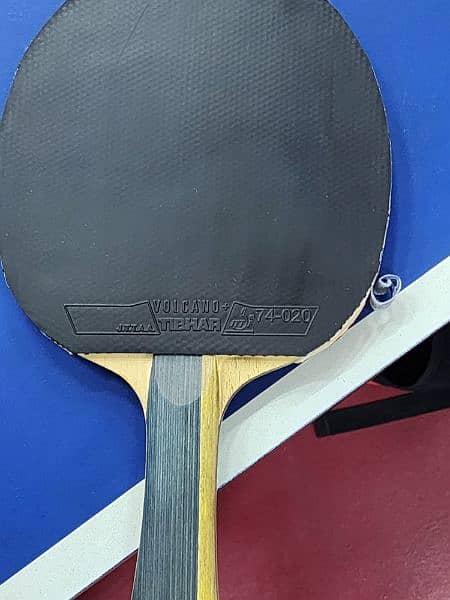 table tennis custom racket sanwei 1