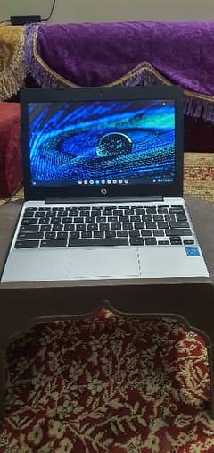 hp G5 ChromeBook + Android Ultra slim