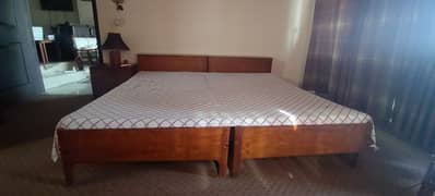 Single beds, Queen bed, sofa, oven, Gyser, washing machine