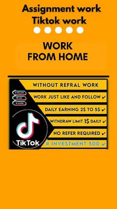 Home base work/ assignment work/ online job / work from home