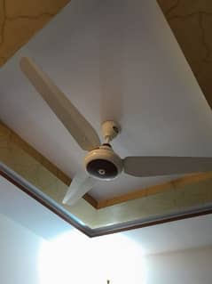 2 MK ceiling fans . . Brand New