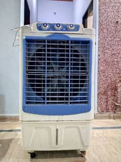Pad Air cooler