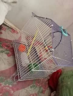 cage for sale just like nee