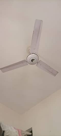 ceiling fan