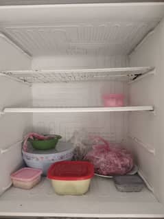 pel full size fridge