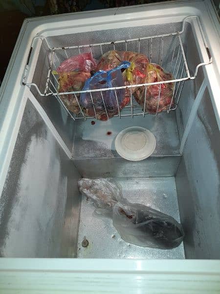 Urgent 4 Sale! Freezer Full size 2