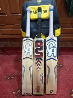 Hard Ball Kit Bats And All Accessories For Sale.
