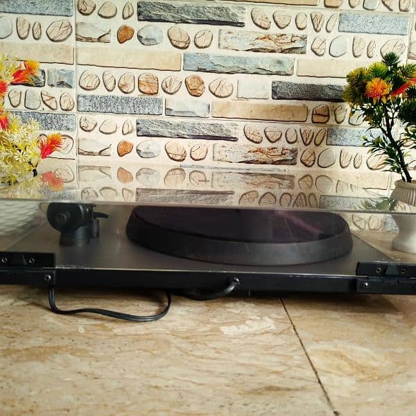 Rega P2 Turntable 9