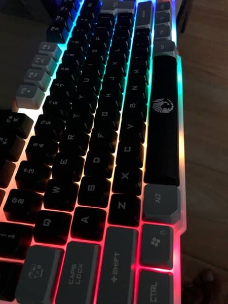 Luminous Mechanical Keyboard And Mouse 4
