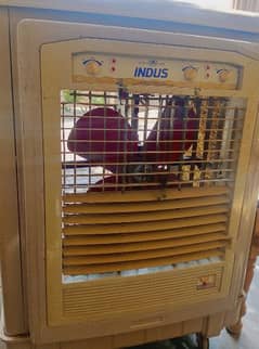 Indus Air Cooler For Sale