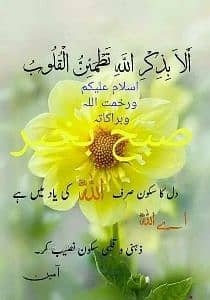 Syed Muhammad Farhan