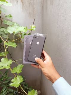 Iphone 8 Brand New