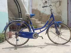 city bicycle ok best condition
