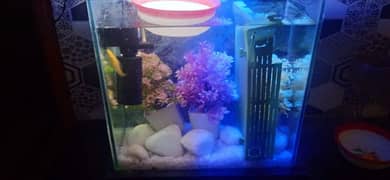 new condition fish aquarium