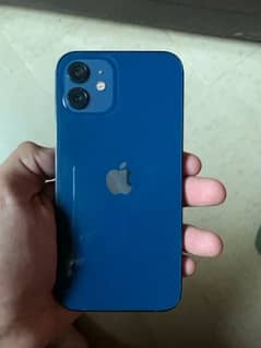 Iphone 12 64gb new condition