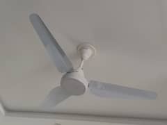 Lahore fan ceiling fan  (magnum white) for sale