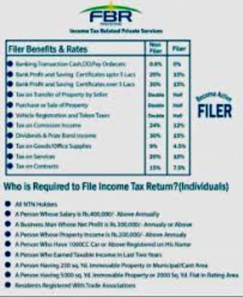 Legal (tax*) and Financial Consultant 2