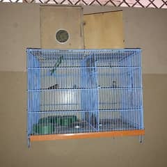 Birds cage For Sale 0