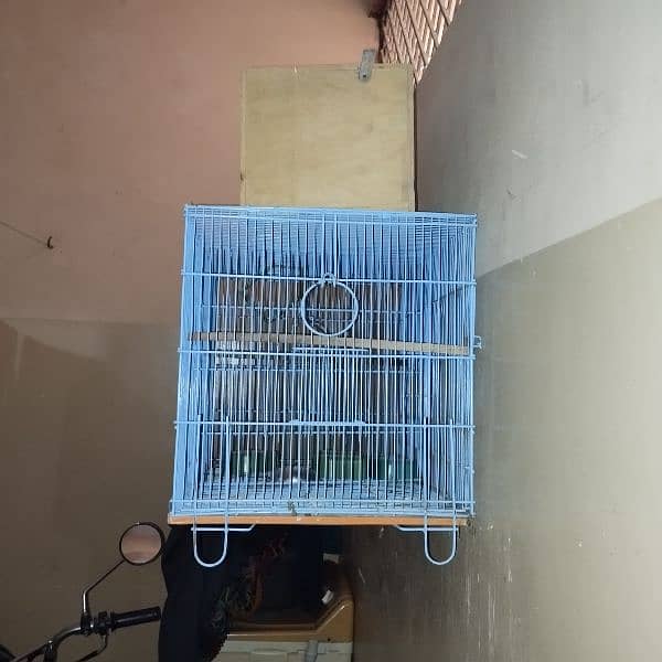 Birds cage For Sale 2