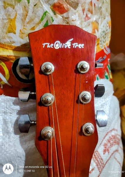 Olive tree Acoustic Guitar 2