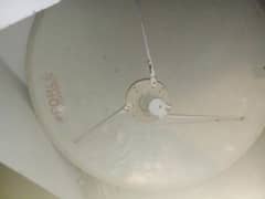 Dish with antenna and receiver