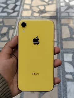 iPhone XR non pta 64gb yellow colour