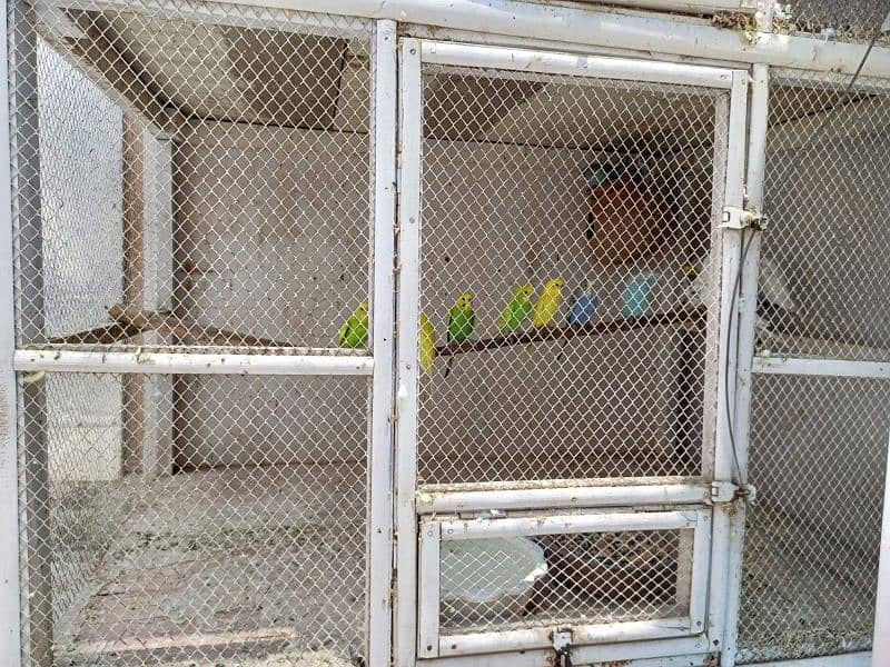 wooden cage with birds 1