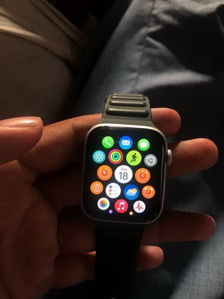 Apple Series 4 Silver 44mm 5