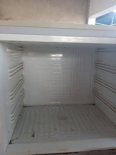 Full size frige 5