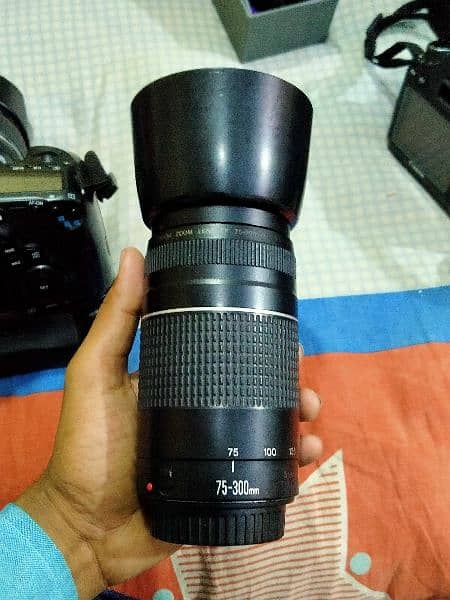 canon 75-300 4