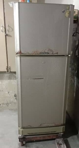 Regrigerator/Fridge 1