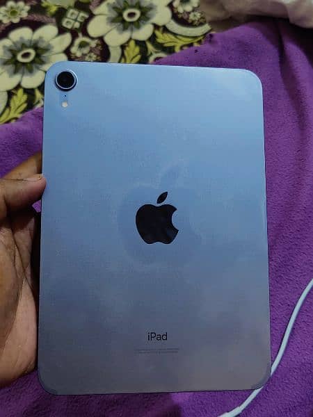 iPad mini 6th generation 256 GB best condition back colour reff 3