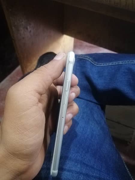 iPhone 7 pta 3