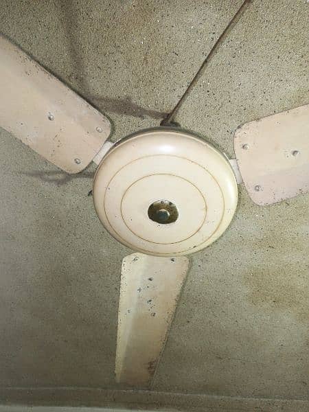 1 Ceiling and 1 Pedestal Fan for sale 3
