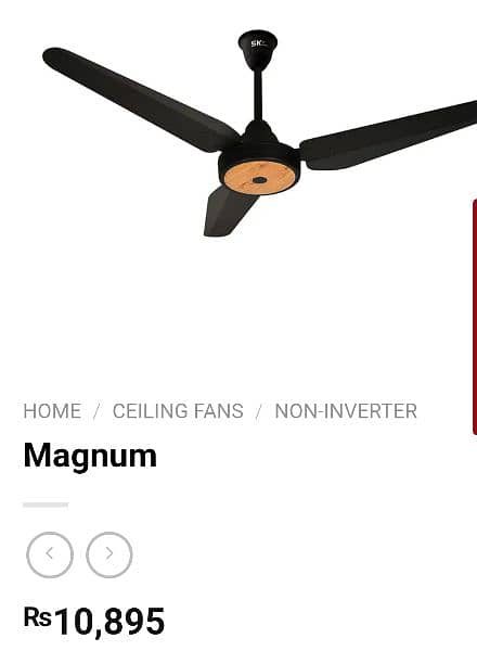 magnum model 1