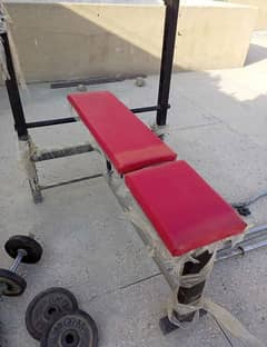 Gym bench