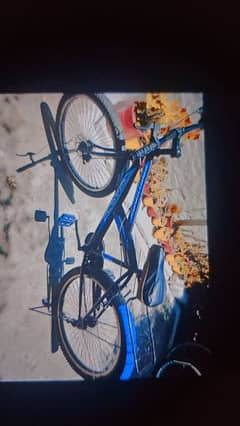 good bicycle 0