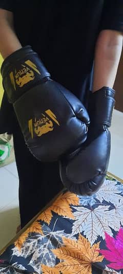 boxing gloves for gym and resistance belt