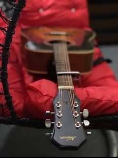 Professional Acoustic Guitar